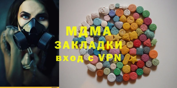 хмурый Ельня