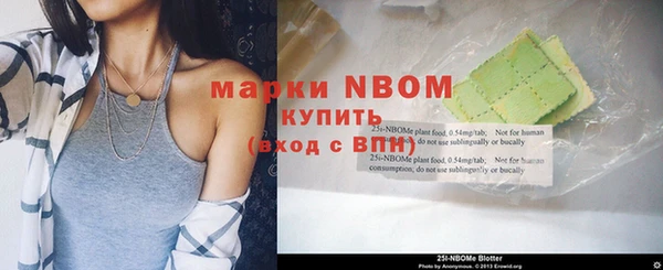 хмурый Ельня