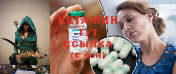 хмурый Ельня