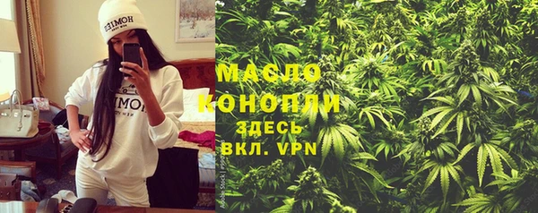 дмт Елабуга