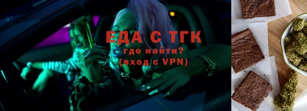 хмурый Ельня