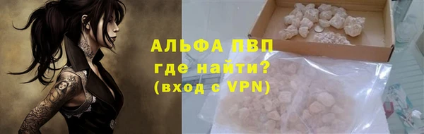 стафф Дмитровск