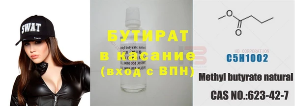 хмурый Ельня