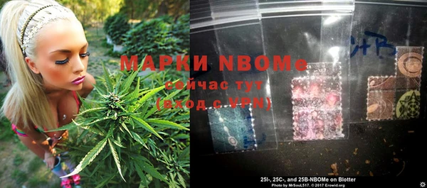 стафф Дмитровск