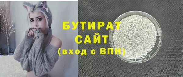 хмурый Ельня