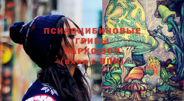стафф Дмитровск