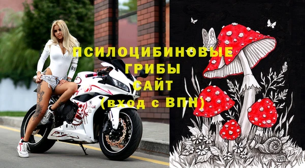 ешки Елизово