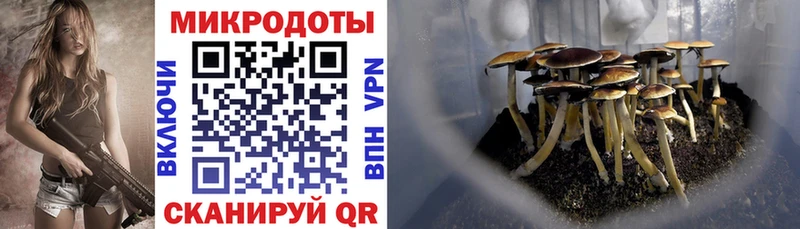 нарко площадка Telegram  Волоколамск  Галлюциногенные грибы Cubensis 